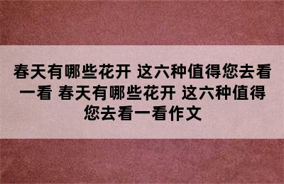 春天有哪些花开 这六种值得您去看一看 春天有哪些花开 这六种值得您去看一看作文